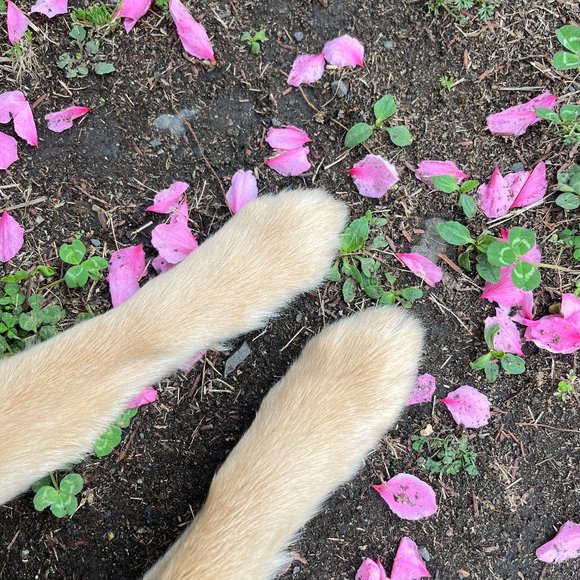 hello - Picture 1 of 1